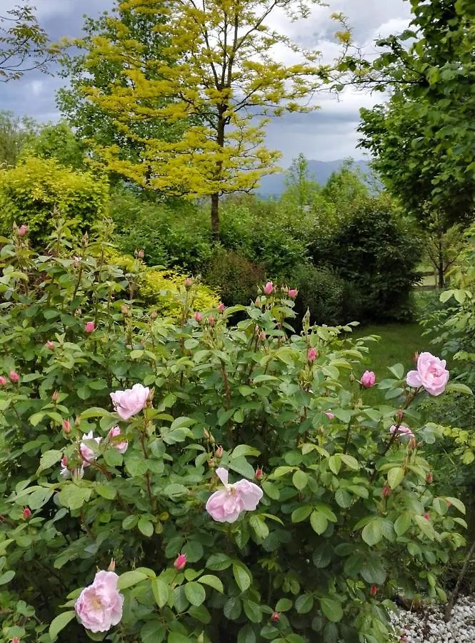 Farm stay Casa Delle Arti Fattoria Dei Fiori Villa Sospirolo