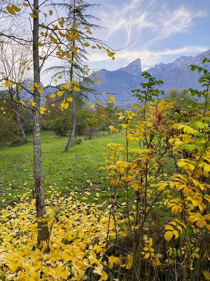Farm stay Casa Delle Arti Fattoria Dei Fiori Villa Sospirolo Italy