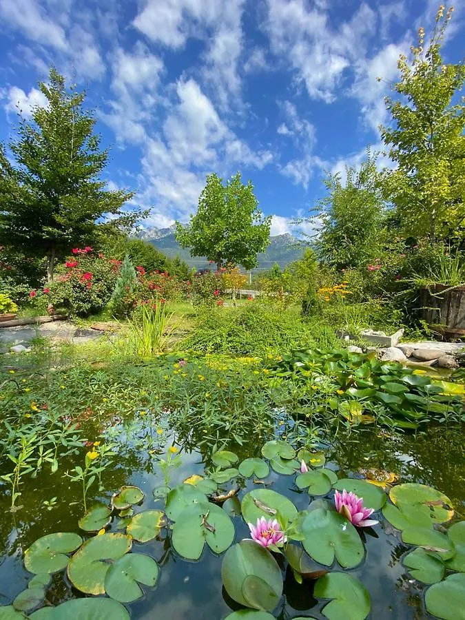 Farm stay Casa Delle Arti Fattoria Dei Fiori Villa Sospirolo