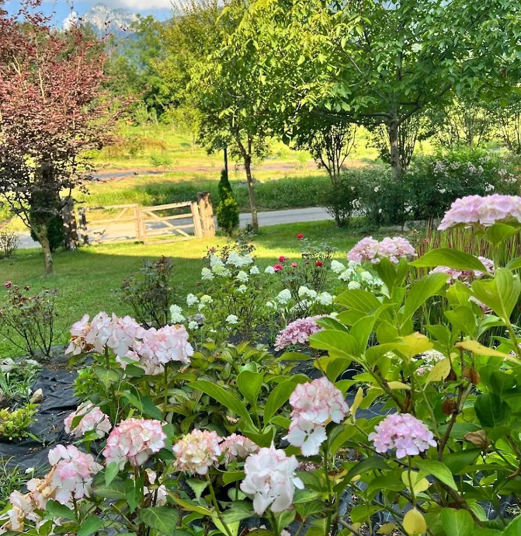 Vakantieboerderij Casa Delle Arti Fattoria Dei Fiori Villa Sospirolo