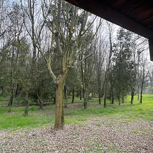  Appartement Woods